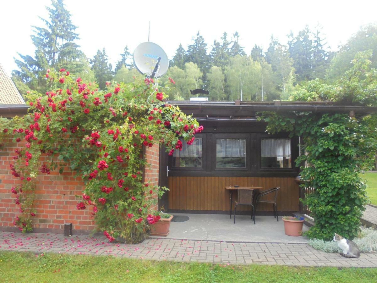 Villa Bergfreiheit Schierke Exterior foto
